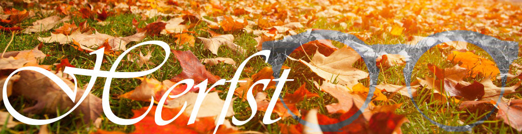 Een nieuwe zonnebril in de herfst. Waarom?