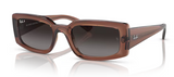 Ray-Ban 4395 6678T3 54-21 POLAR